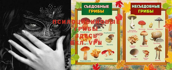 соль курить ск Алзамай
