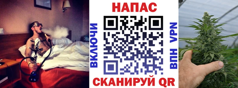 дарнет шоп  Чкаловск  Шишки марихуана Ganja 
